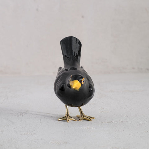 Blackbird with Brass Legs and Vertical Tail