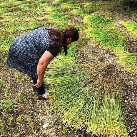 cesta Tradicional Português com alça - Pequeno Verde