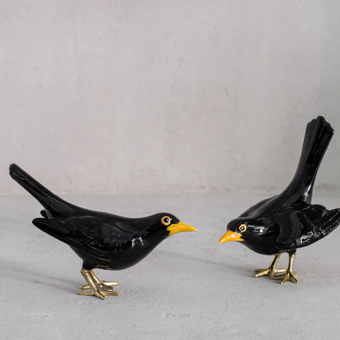 Cerámica mirlo mirlo merle amsel merlo laboratoriod_estoria