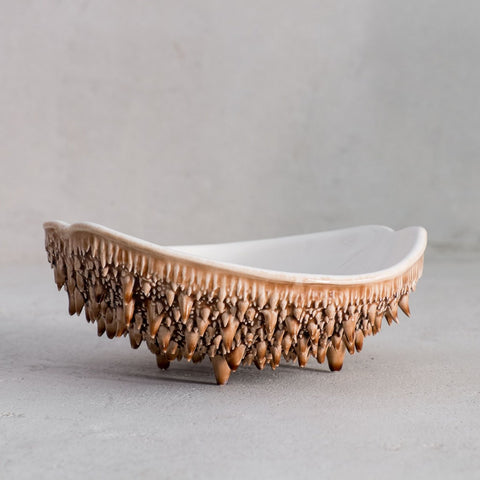 plate-platter-plat-prato-ceramic-laboratoriad_estoria