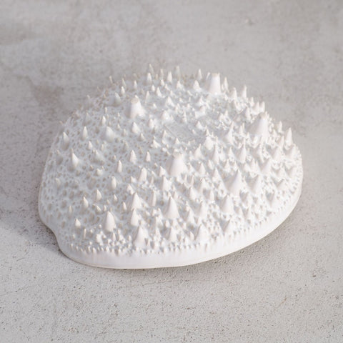 plate-platter-plat-prato-ceramic-laboratoriad_estoria